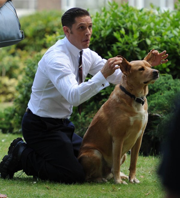 Tom Hardy playing with his dog