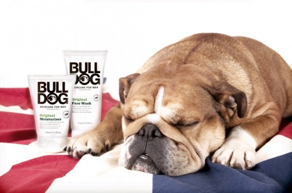 bulldogunionjackfwandom-1375695468