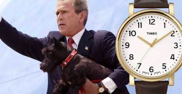 bush timex